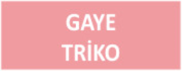 Gaye Triko San. Tic. Ltd. Şti.
