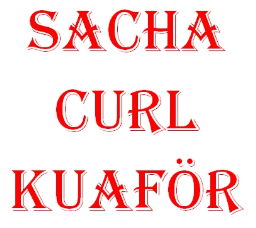 Sacha Curl Kuaför